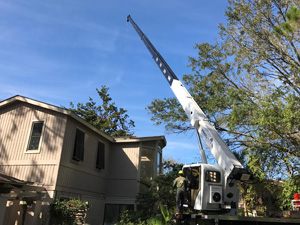 Extended Reach