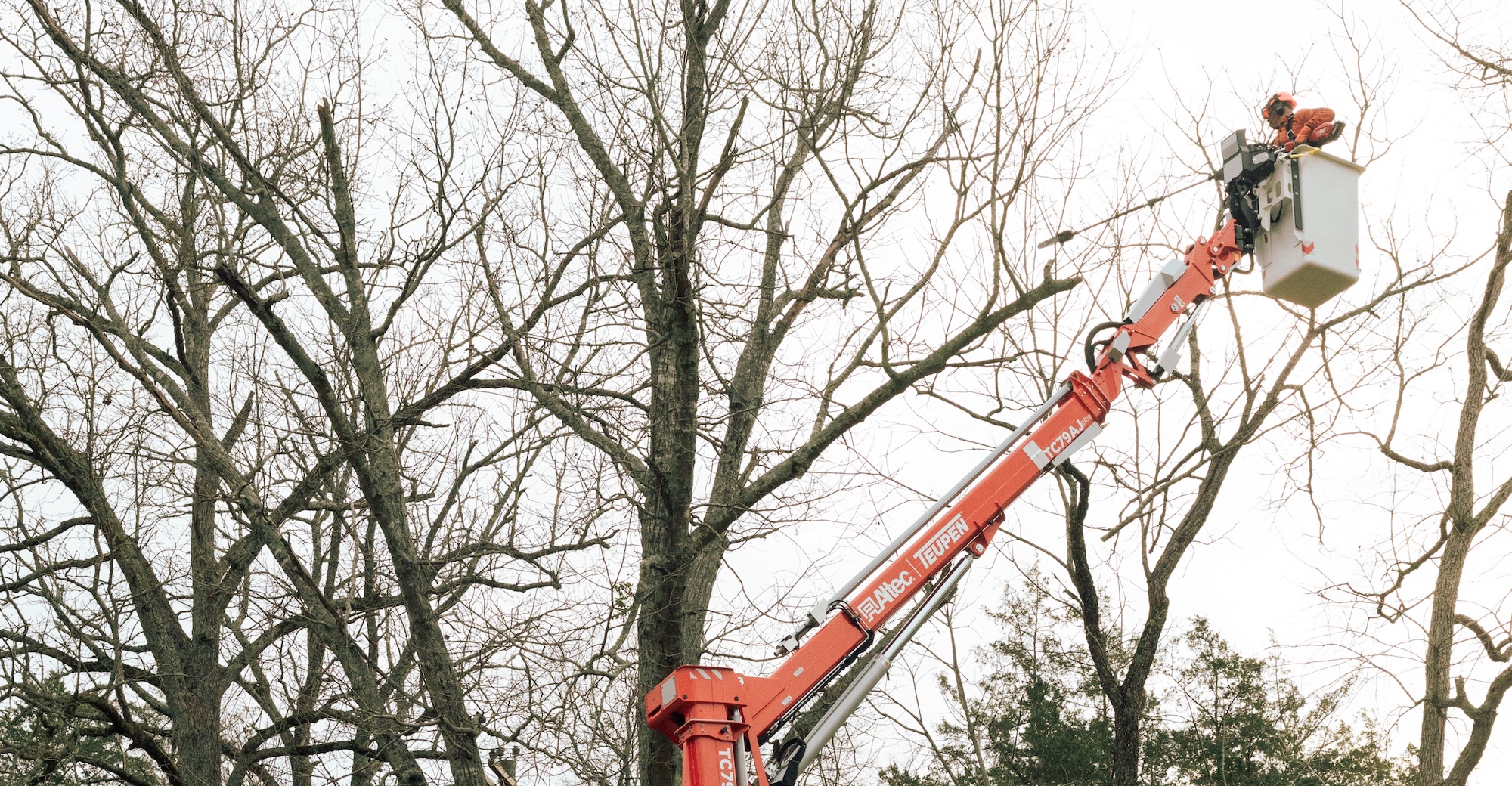 A tree care professional uses a saw atop an Altec Teupen TC89AJplus spider lift